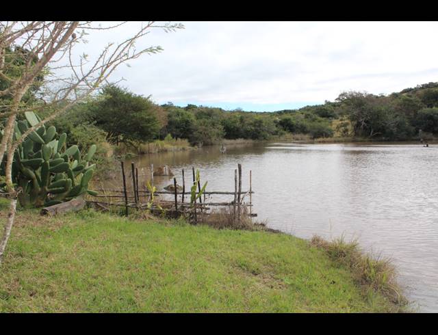 657HA FARM FOR SALE IN KOMGA RURAL